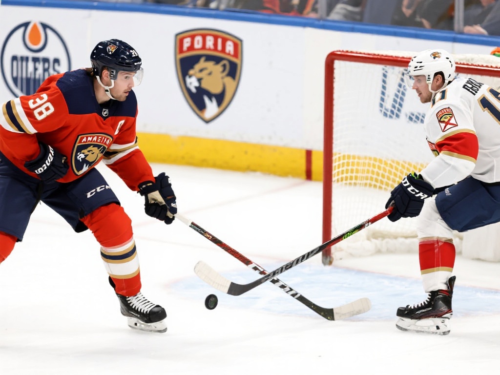 环境虽然充 环境虽然充